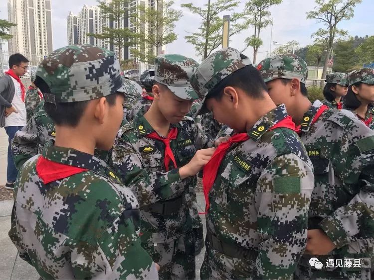 藤县人民武装部官网,连接军民,共筑国防的桥梁,藤县人民武装部官网,军民共筑国防的桥梁