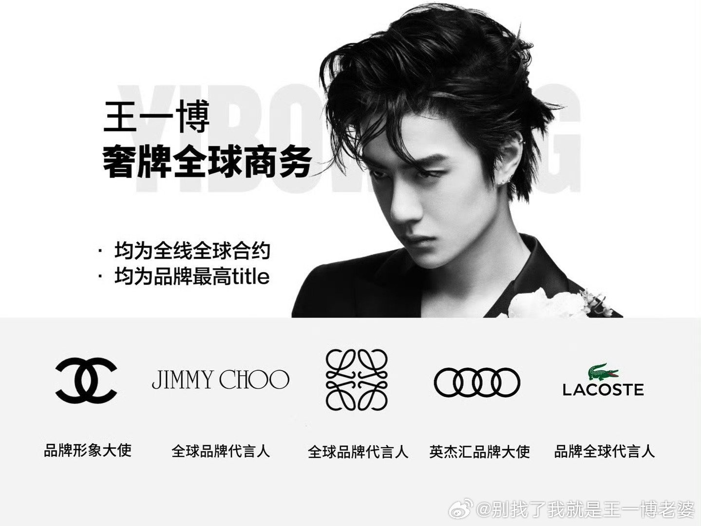 王中王一肖中特,探索新时代背景下的独特魅力与价值,新时代背景下的王中王一肖,独特魅力与价值探索