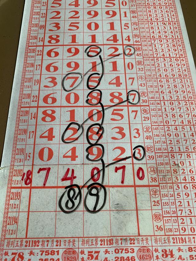 四肖八码精准资料期期准,揭秘彩票预测背后的秘密,揭秘四肖八码精准预测彩票背后的秘密与真相