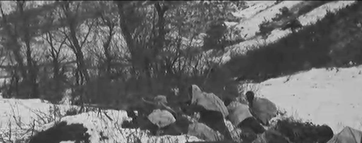 长津湖中的英雄连队——杨根思连,杨根思连,长津湖中的英雄连队