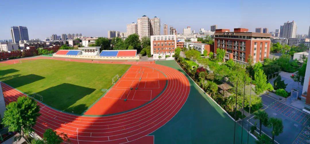 王中王一肖中费公开,探索与启示,王中王一肖中费公开,探索之路与启示