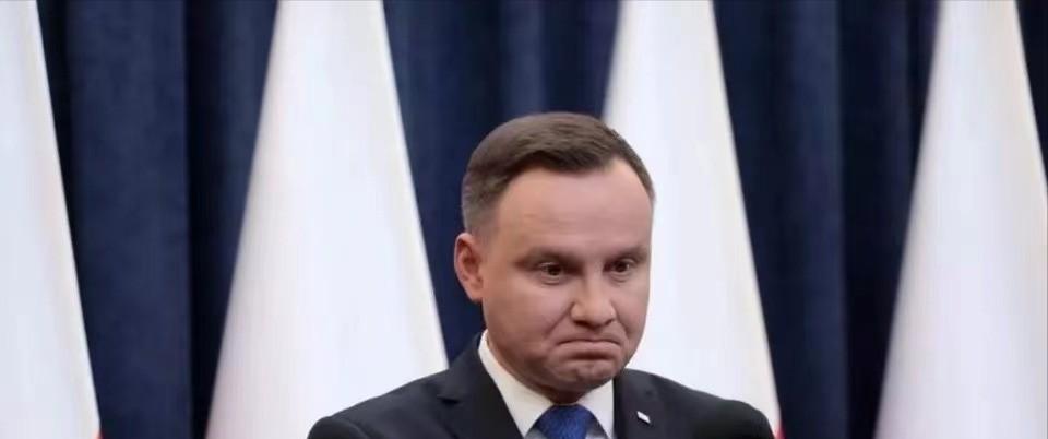 俄罗斯乌克兰最新局势大鱼,深度分析与展望,俄罗斯乌克兰局势最新进展,深度分析与展望