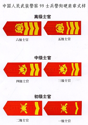 中国人民武装警察部队肩章,荣耀与责任的象征,中国人民武装警察部队肩章,荣耀与责任的标志