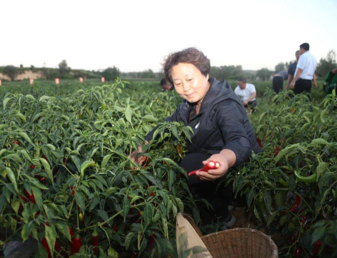 襄垣翟卫华,一位引领时代的杰出人物,襄垣翟卫华,时代引领者的杰出风采