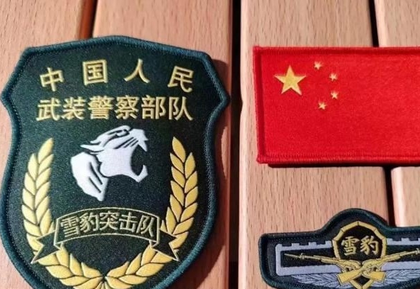 武警雪豹突击队