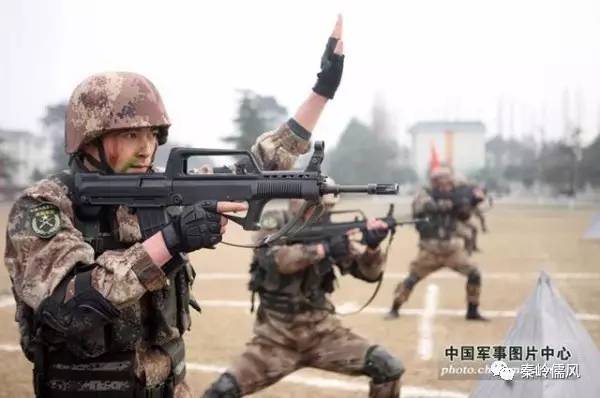 荣耀与传承，探寻38集团军113师339团团歌背后的故事，荣耀与传承，探寻339团团歌背后的故事