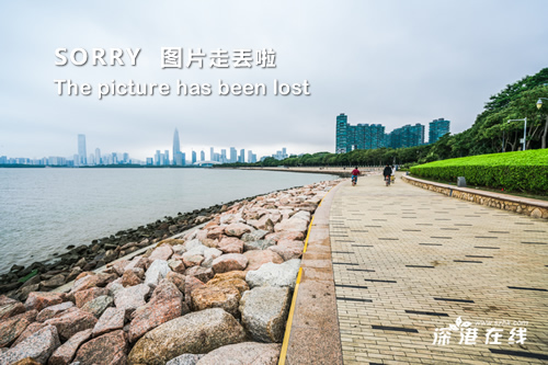 中国现役上将名单及其影响力解析,中国现役上将名单影响力深度解析