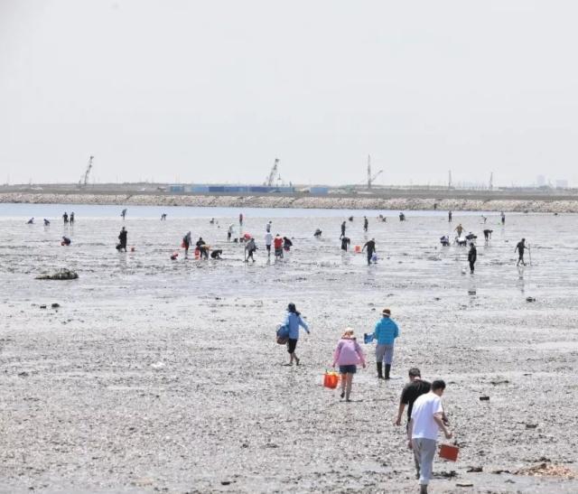 航空母舰,海上霸主的多功能角色,航空母舰,海上霸主的多面角色