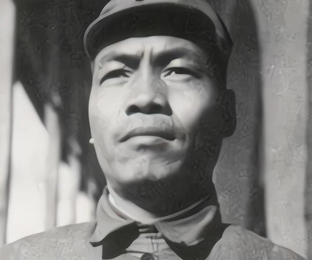 关于我国现役上将人数的分析,2023年的数据解读,2023年我国现役上将人数深度解析