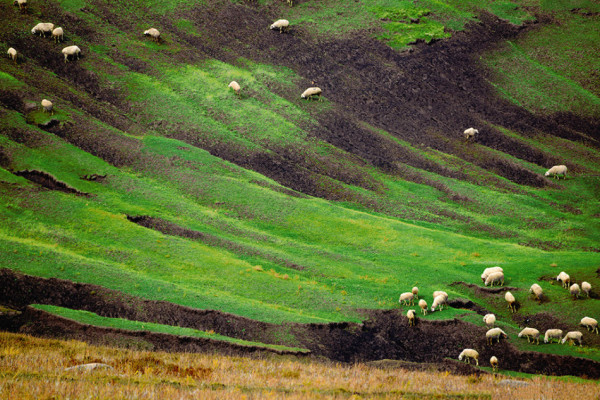 刘伯温三肖选一肖与localhost,神秘预测与本地服务器的探索,刘伯温三肖选一肖与本地服务器的神秘探索之旅