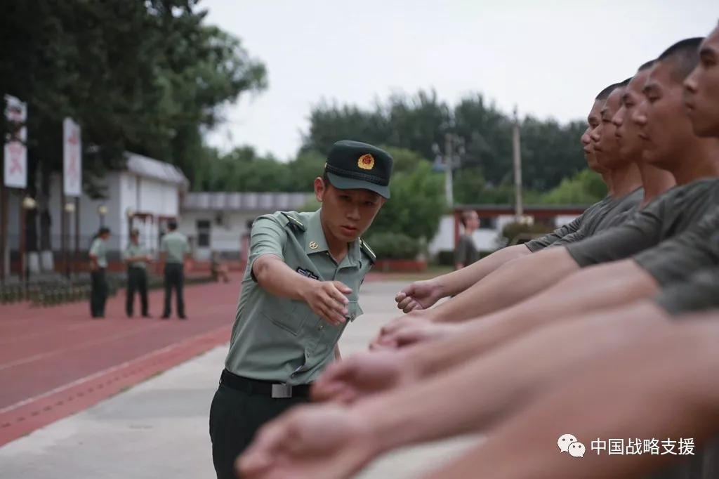 战略支援部队直属部队概述，战略支援部队直属部队概览