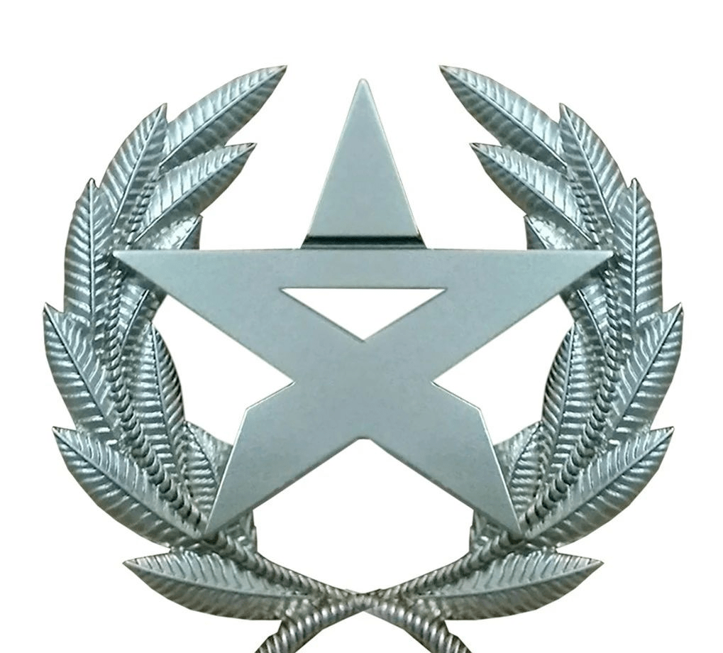 战略支援部队直属部队概述,战略支援部队直属部队概览