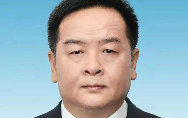 陈耳东,一位引领时代的杰出人物,陈耳东,时代引领者的杰出风采