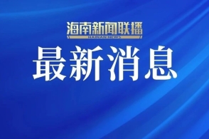 新澳2025正版资料免费公开,探索与启示,新澳2025正版资料免费公开,探索之旅与启示