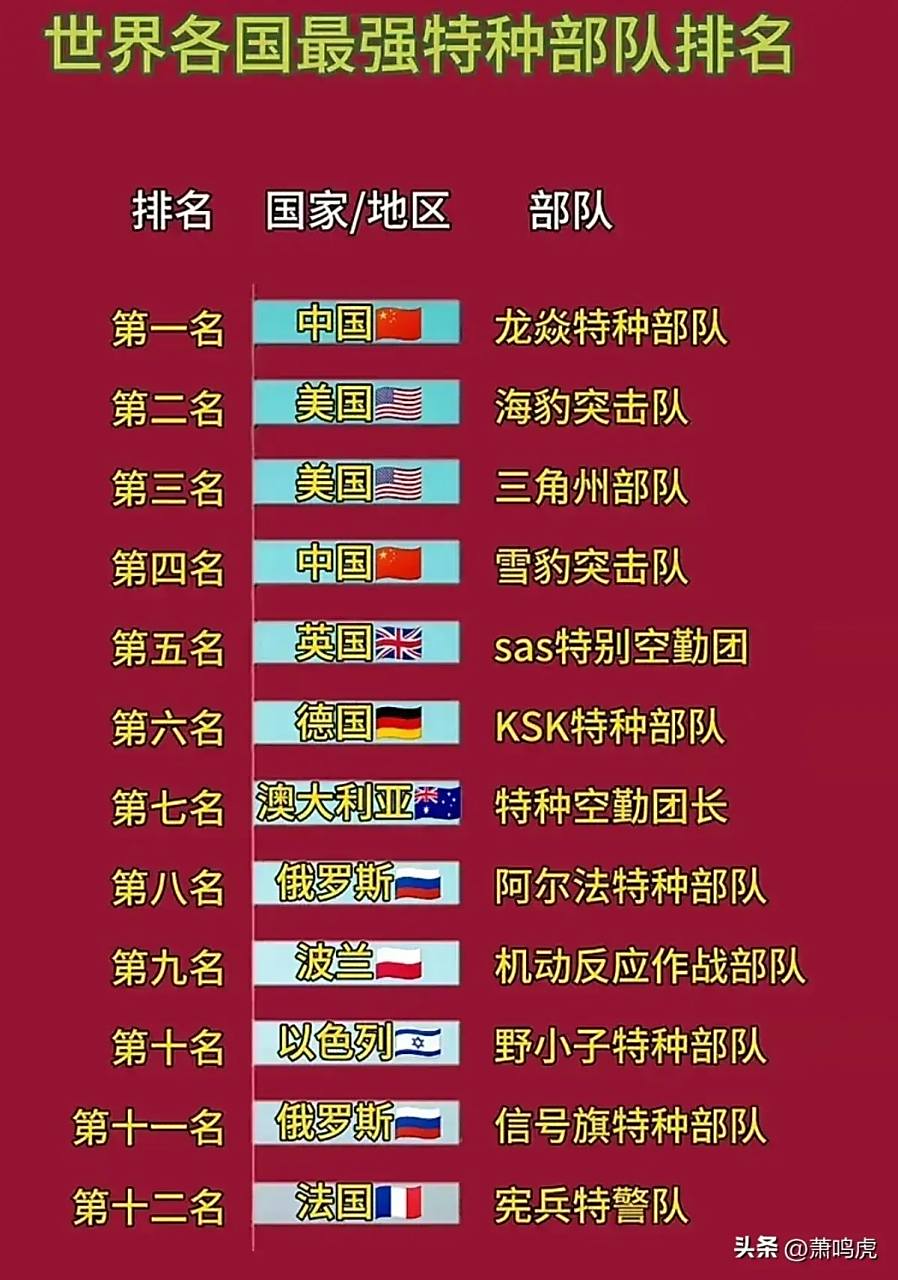 中国特种部队排名概览,中国特种部队排名一览