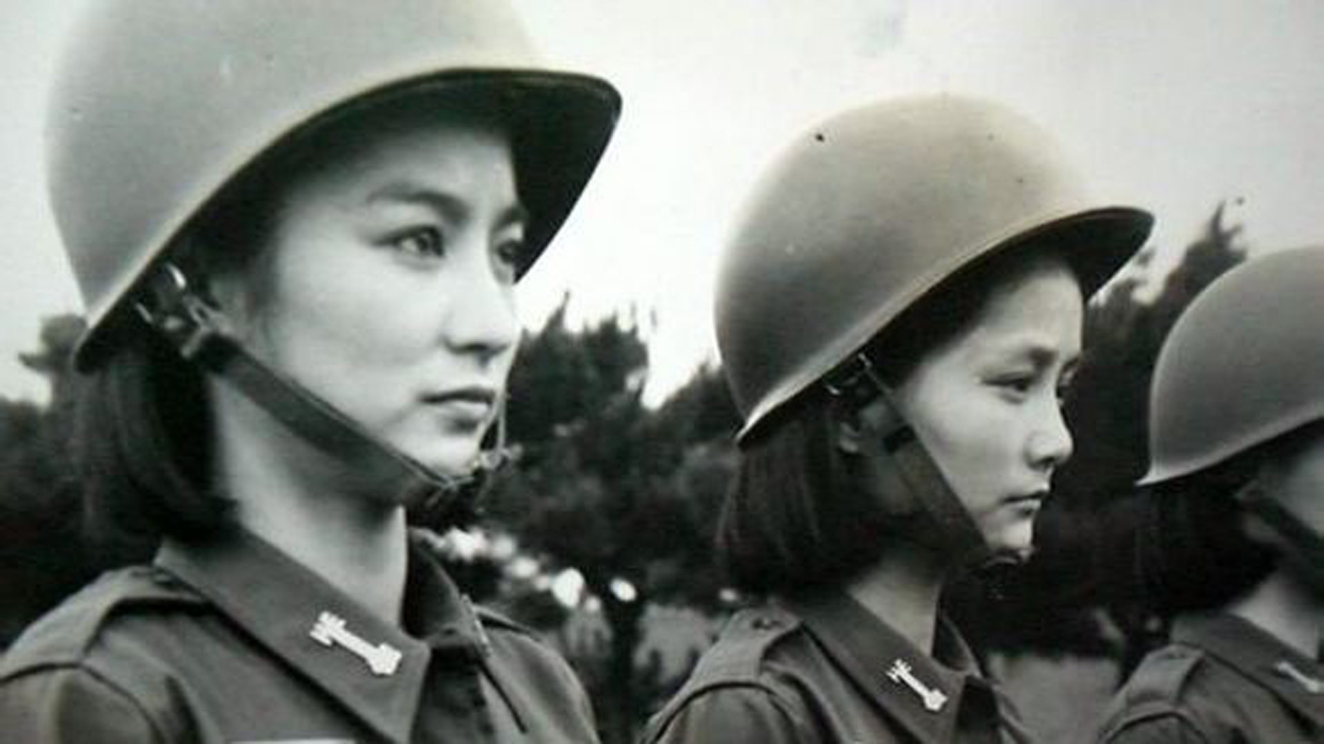 中国女兵在越南电影的播放与传播,中国女兵在越南电影中的风采与传播