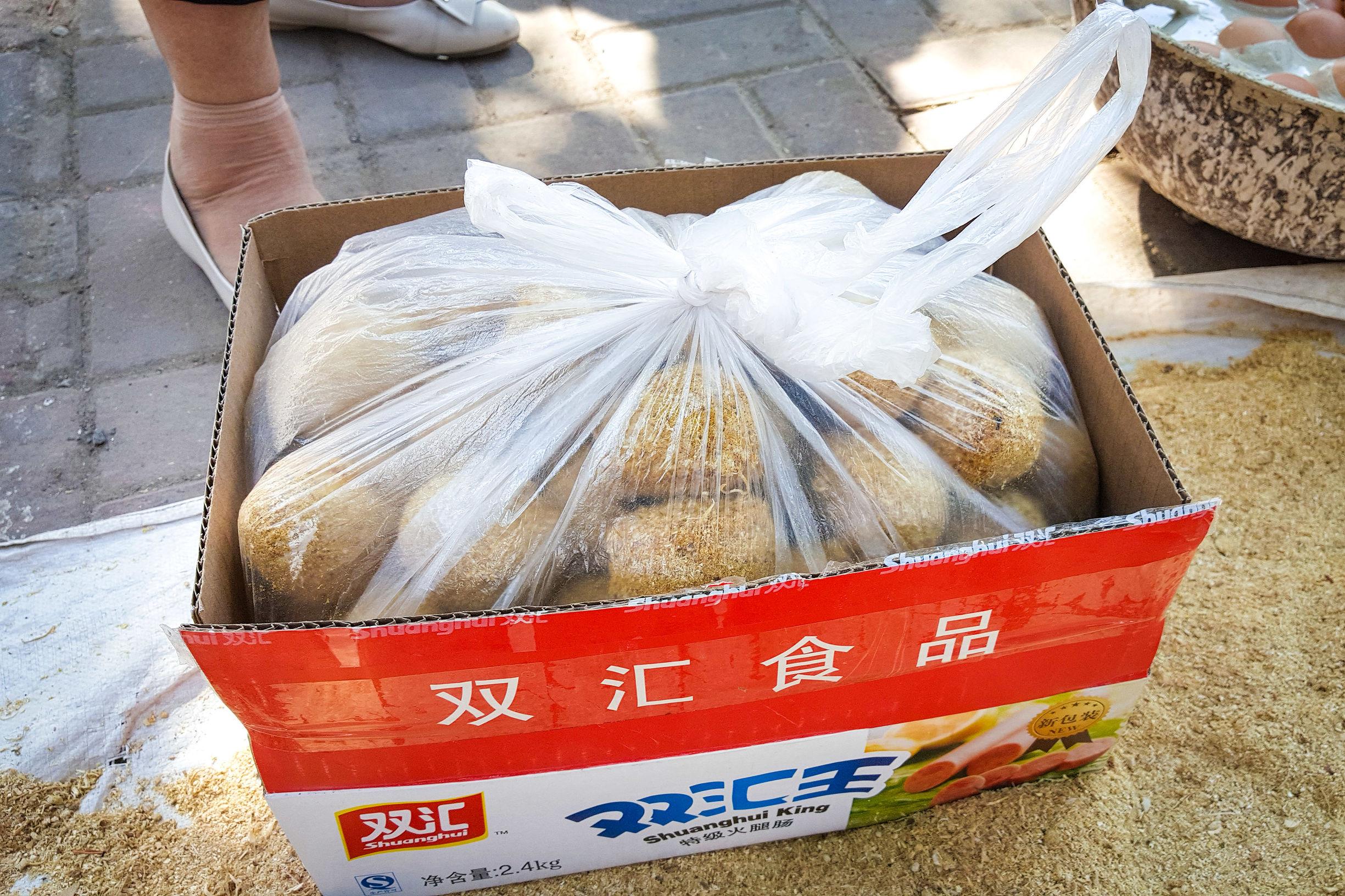 直-21,新一代直升机的杰出代表,直-21,新一代直升机杰出代表亮相!