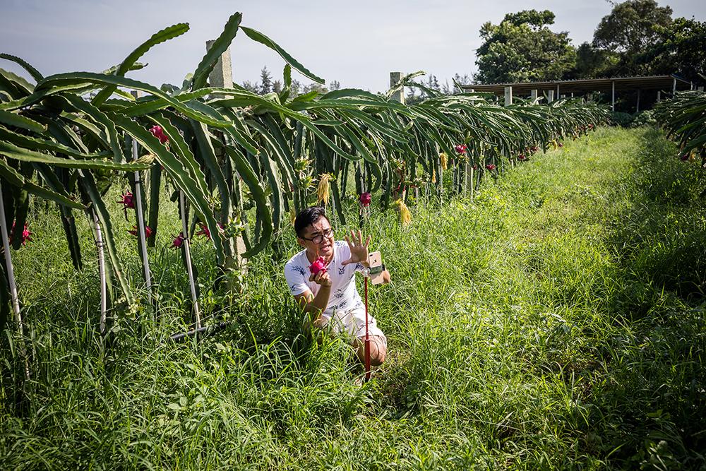 解放海南岛,提前打的战略构想及其提出者,解放海南岛,战略构想及其提出者的前瞻思考