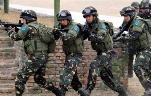 集团军处处长,职责、地位与权力,集团军处处长,职责、地位与权威解析