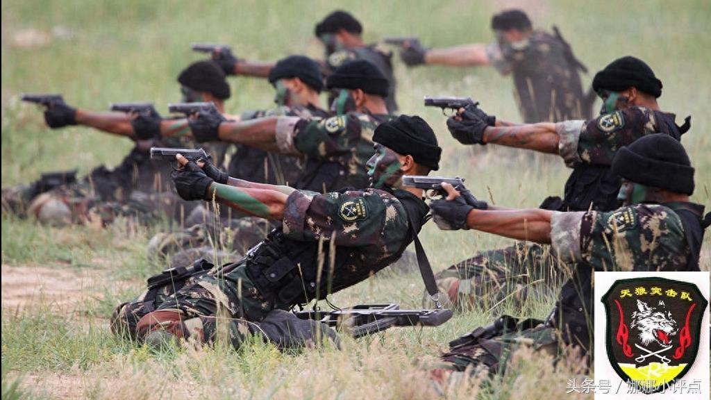 中国特种部队排名及其影响力,中国特种部队排名及影响力概览