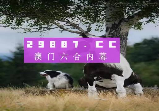 澳门六开彩结果,探索与解析(XXXX年分析),澳门六开彩结果分析,XXXX年探索与解析报告