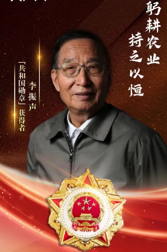 共和国勋章,四位卓越人物的荣耀与贡献,共和国勋章,四位卓越人物的荣耀与卓越贡献