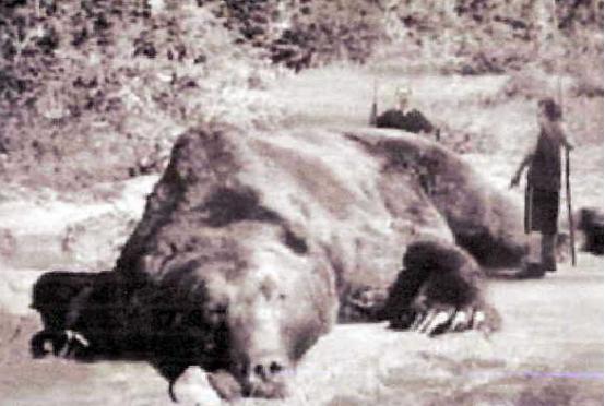 猎人学校与美国士兵，一段跨越国界的军事教育之旅，猎人学校与美国士兵，跨越国界的军事教育之旅揭秘