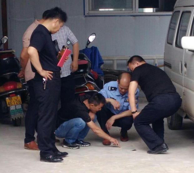 最新新闻消息概述，全球最新新闻快报