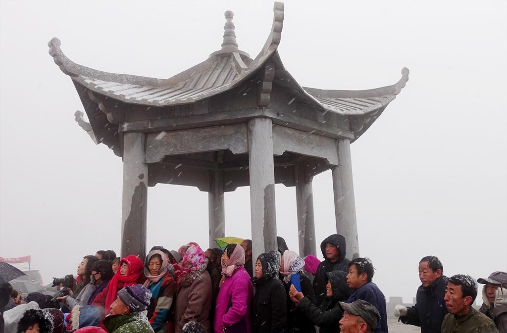 最新新闻消息概述,全球最新新闻快报