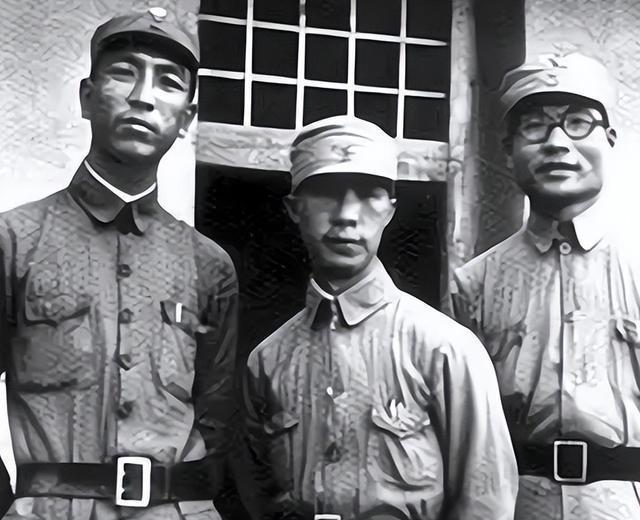 海南岛战役,历史转折的壮丽篇章(自XXXX年3月5日起),海南岛战役,历史转折的壮丽篇章(XXXX年回顾)