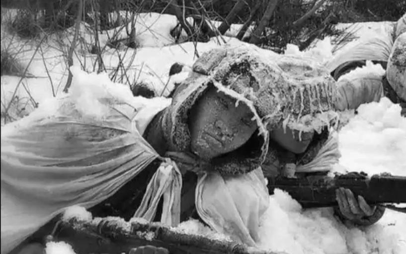 朝鲜对长津湖战役的历史回响与现代反思,从电影长津湖看朝鲜的反应,朝鲜对长津湖战役的历史回响与现代反思,电影视角下的反应与启示