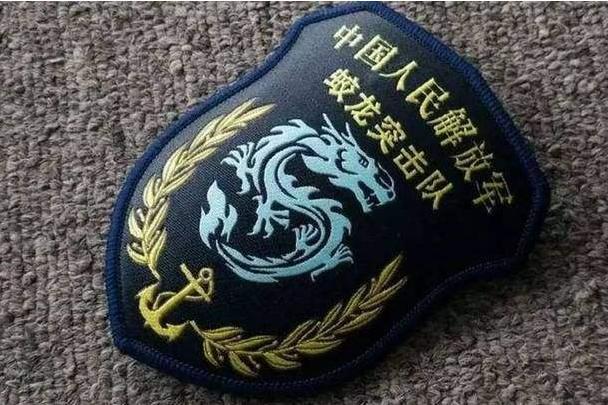 蛟龙突击队的队训，磨砺意志，锻造精英，蛟龙突击队，磨砺意志，锻造精英之旅