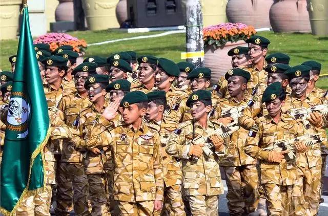 卡塔尔军事实力分析,卡塔尔军事实力深度解析