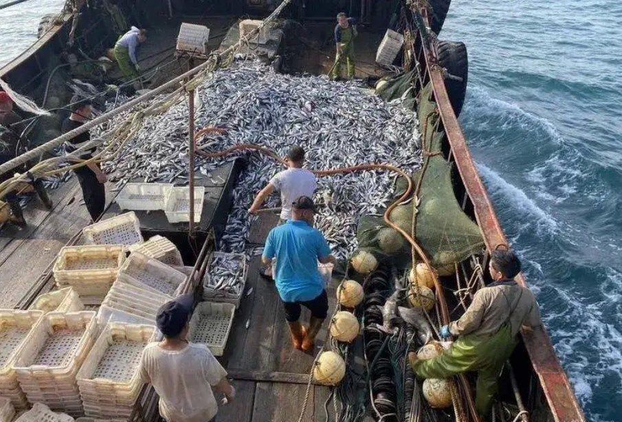 台海巡署不出海的原因探究,台海巡署不出海的原因深度解析