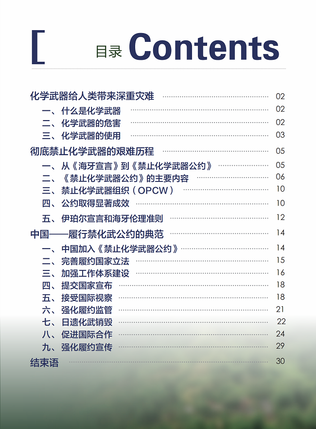 禁止化学武器组织的最高机构,权威与责任,化学武器组织最高机构,权威与责任的重担