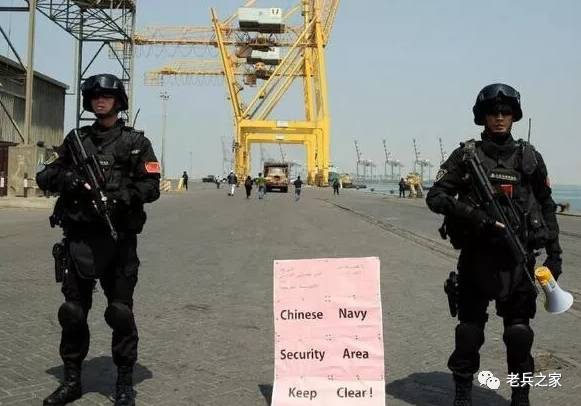 蛟龙突击队臂章矢量图,荣耀的象征与力量的展现,蛟龙突击队臂章矢量图,荣耀与力量的象征