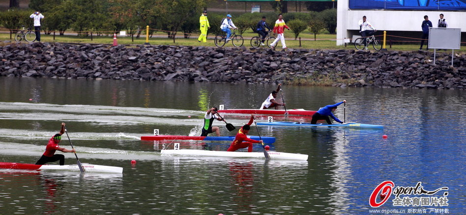 王中王一肖一马期期谁——探索未知领域的引领者,探索未知领域的引领者,王中王一肖一马期期谁