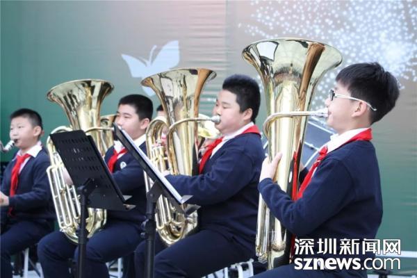 东海飞龙特种部队简介,东海飞龙特种部队概览