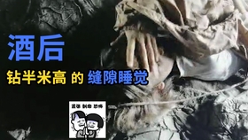 共和国勋章,九位杰出人物的辉煌简介,共和国勋章,九位杰出人物的辉煌人生之旅