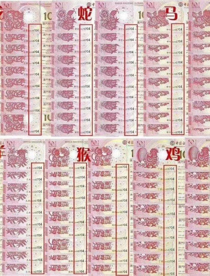 澳门最快开奖六开生肖卡,探索与解析,澳门六开生肖卡开奖探索与解析