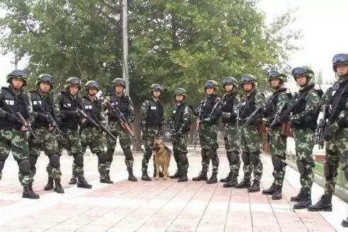 中国特种部队排名2019,中国特种部队排名揭晓,揭秘最强特种部队榜单 2019年度版