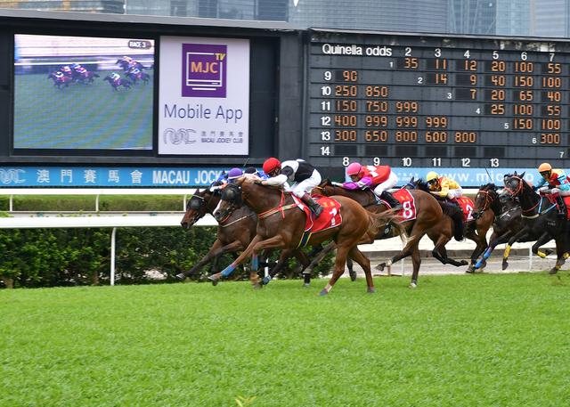 澳门赛马会资料最准一码——深度解析与前瞻性观察,澳门赛马会资料最准一码,深度分析与前瞻性观察