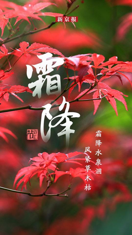 今天霜降，今日霜降时节