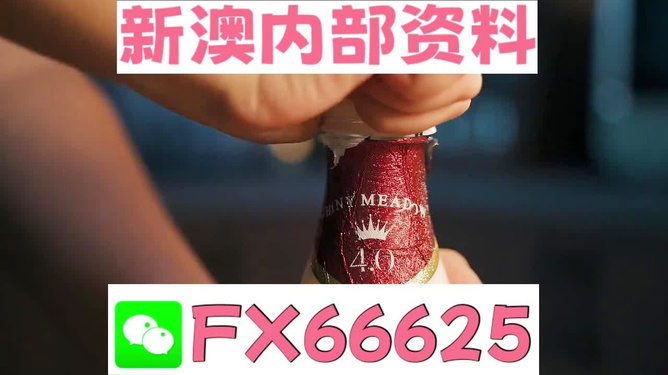 新澳门码精准资料,探索与解读,新澳门码精准资料深度解读与探索