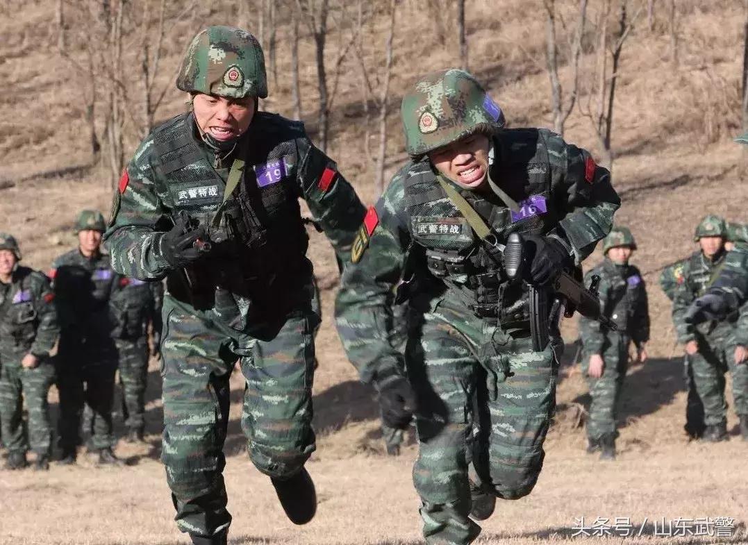 武警去特战之路,挑战与机遇并存,难吗?,武警特战之路,挑战与机遇并存,难关重重,勇往直前!