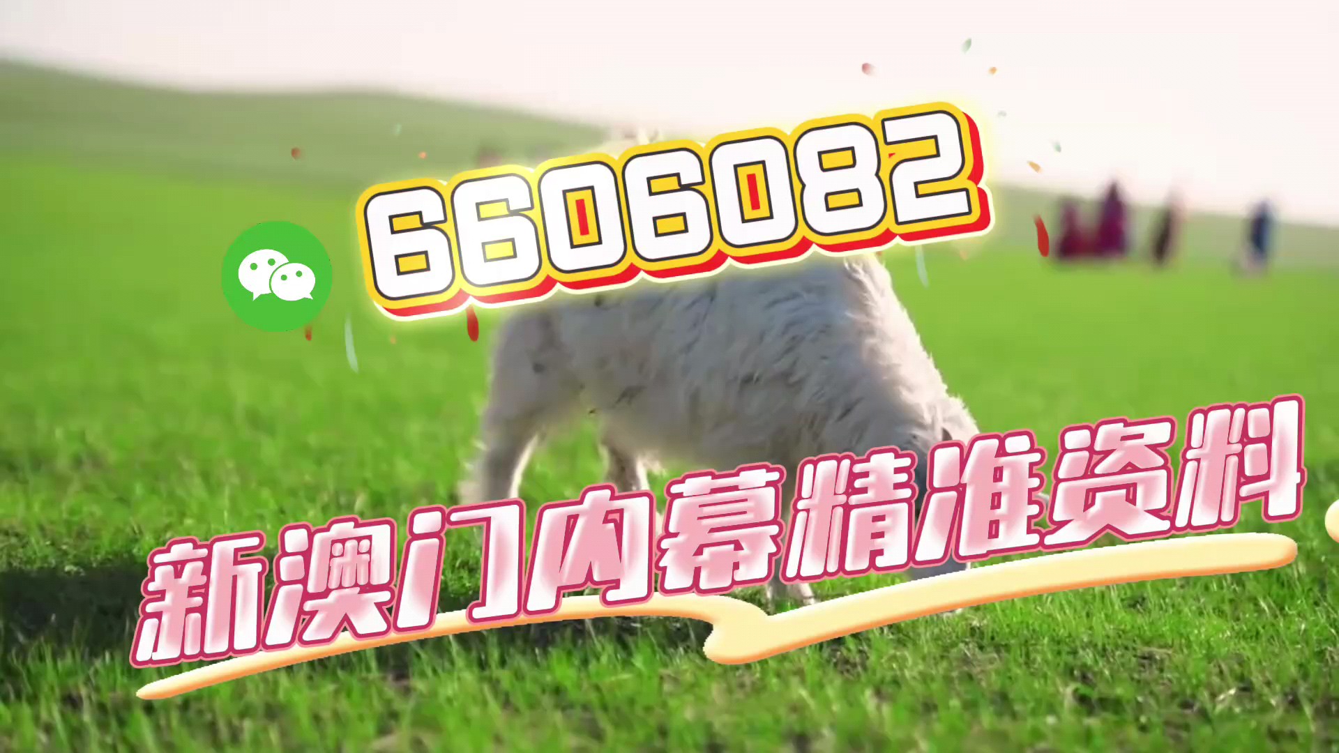 今晚澳门必中一肖一码