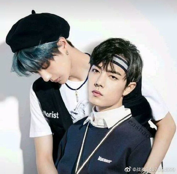 王中王一肖资料一肖中特,深度探索与解析,王中王一肖资料解析,深度探索与揭秘