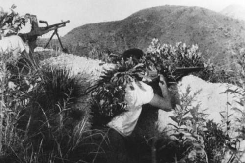 福建省与台湾最新消息,深化合作,共谋发展,福建省与台湾深化合作,共谋发展新篇章