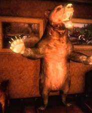 传奇人物与神秘预言