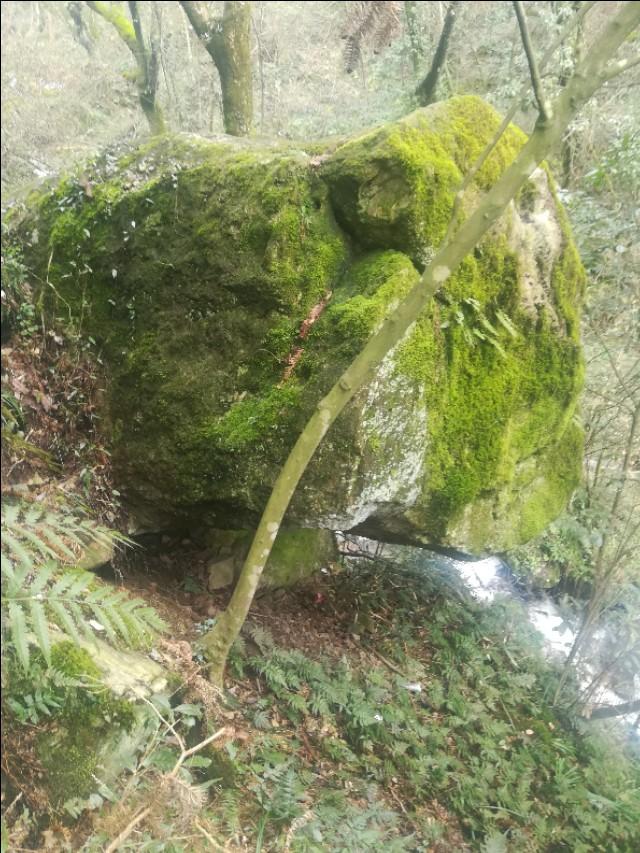 刘伯温四不像中一肖一,神秘预言与传奇故事,刘伯温神秘预言与传奇故事,四不像中一肖一探秘